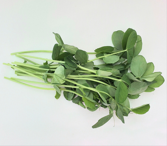 Pea Microgreens