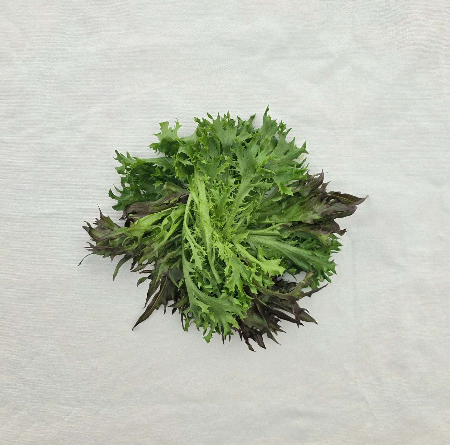 Spring Mix