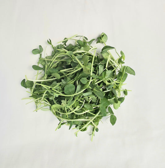 Microgreen Salad Mix - 170 g