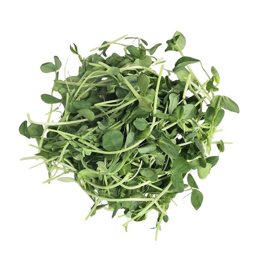 Microgreen Salad Mix - 170 g