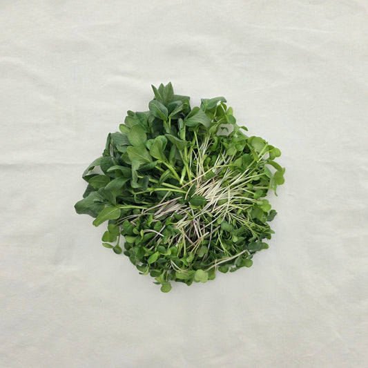 Luxury Harvest