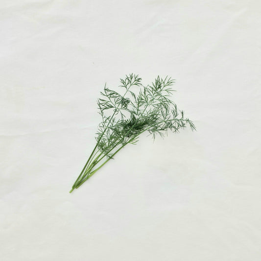 Baby Dill