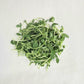 Microgreen Salad Mix - Large