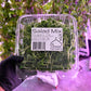 Microgreen Salad Mix - Large