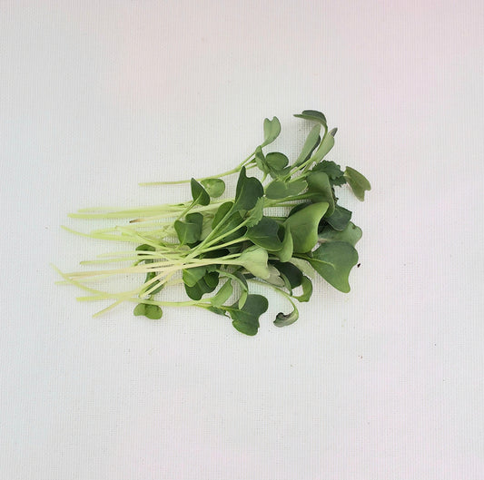 Broccoli Microgreens