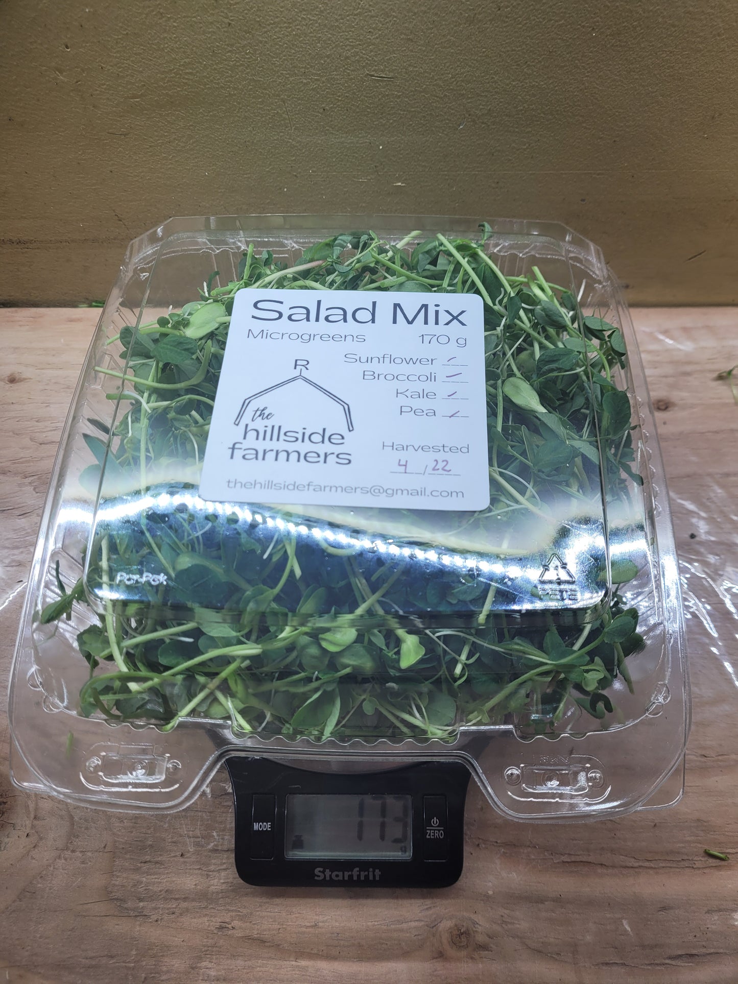 Microgreen Salad Mix - Large