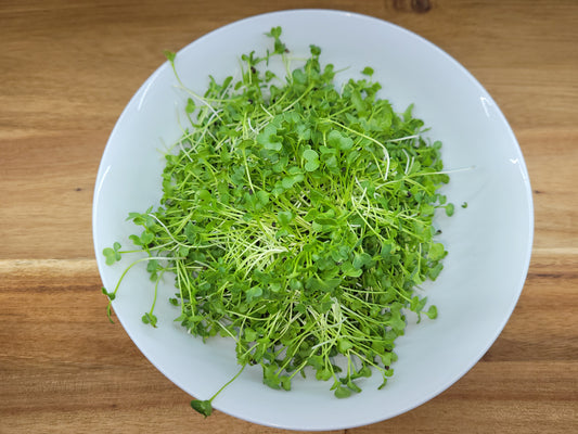 Broccoli Microgreens