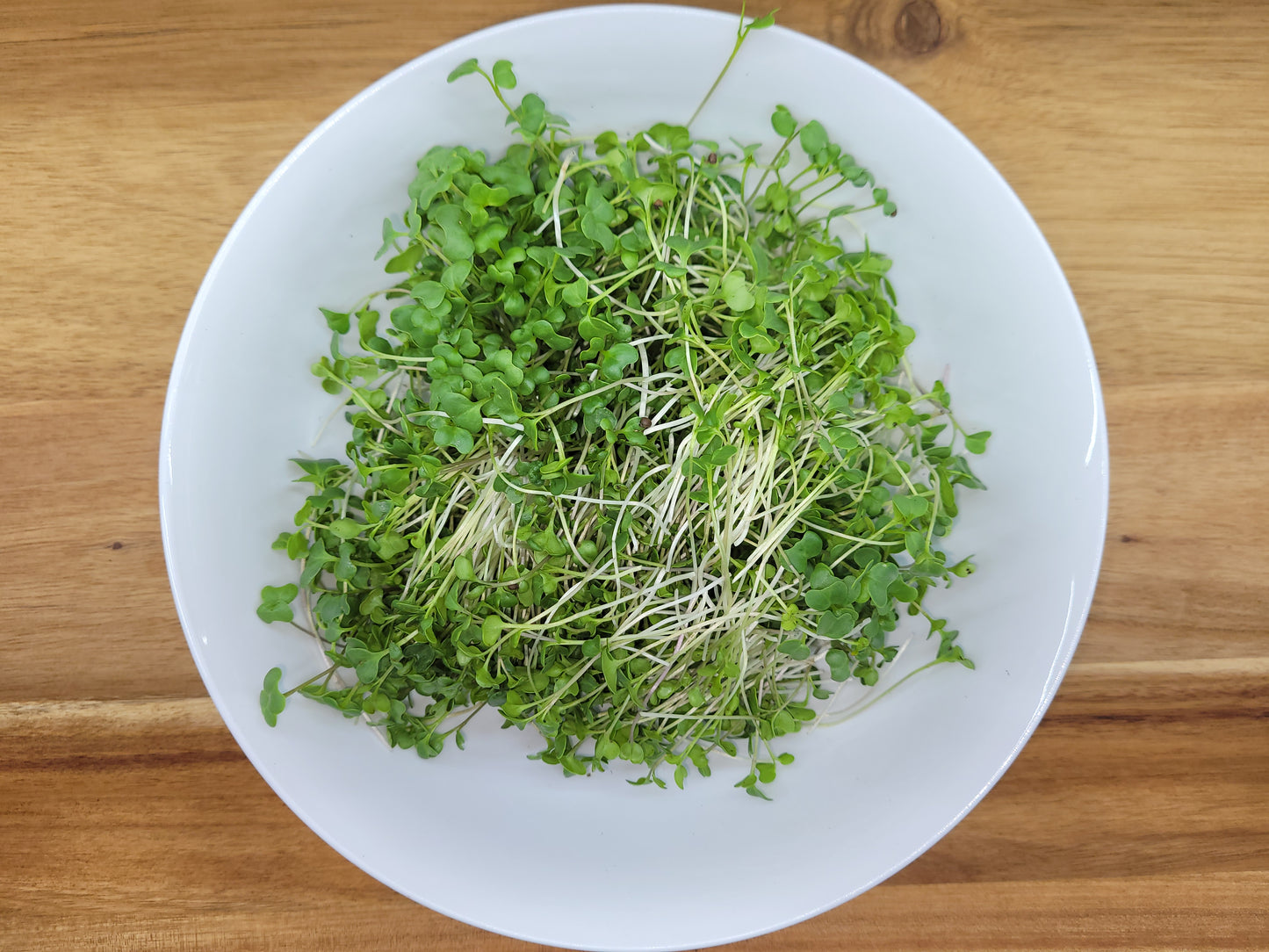 Broccoli Microgreens