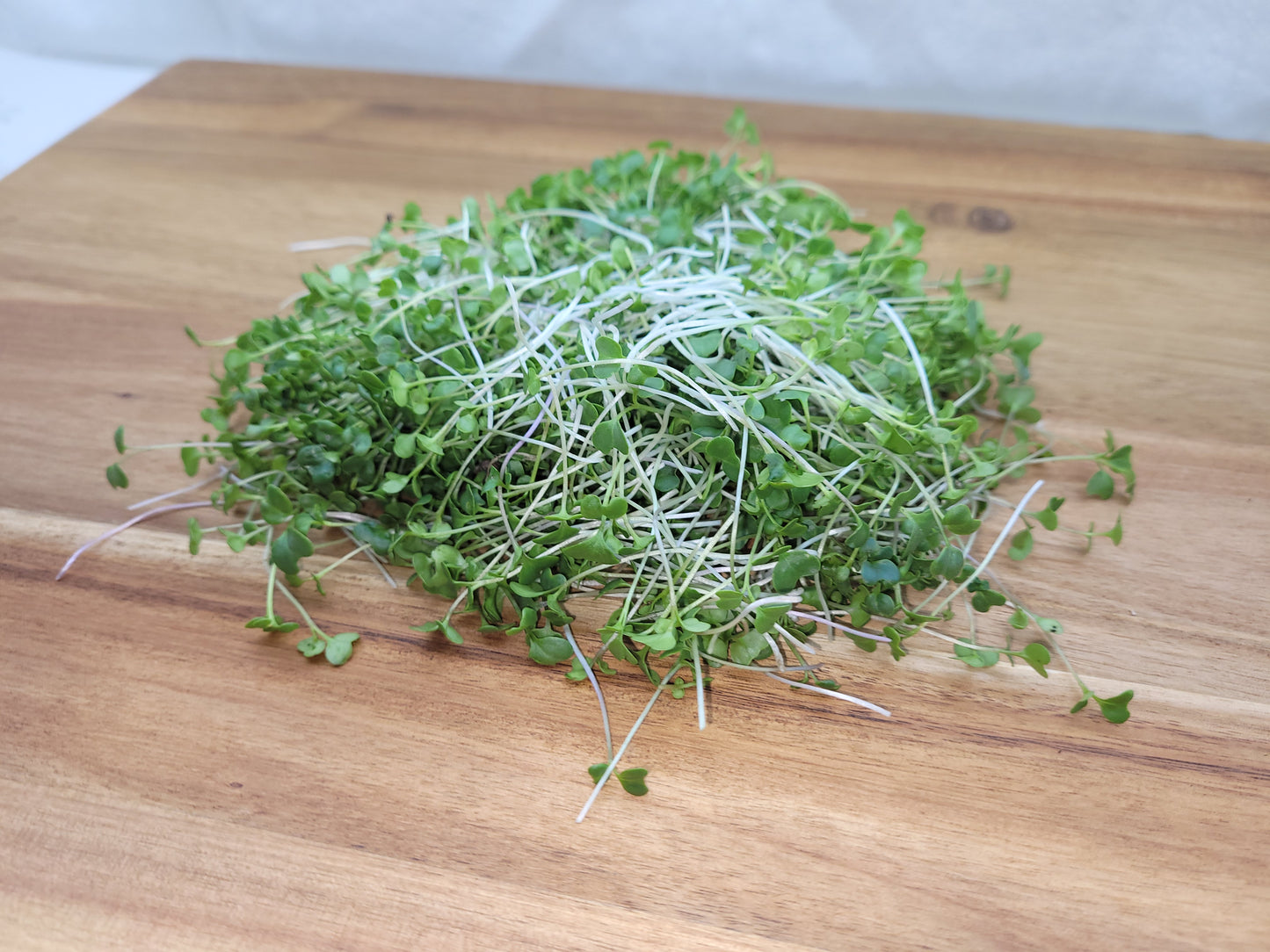 Kale Microgreens