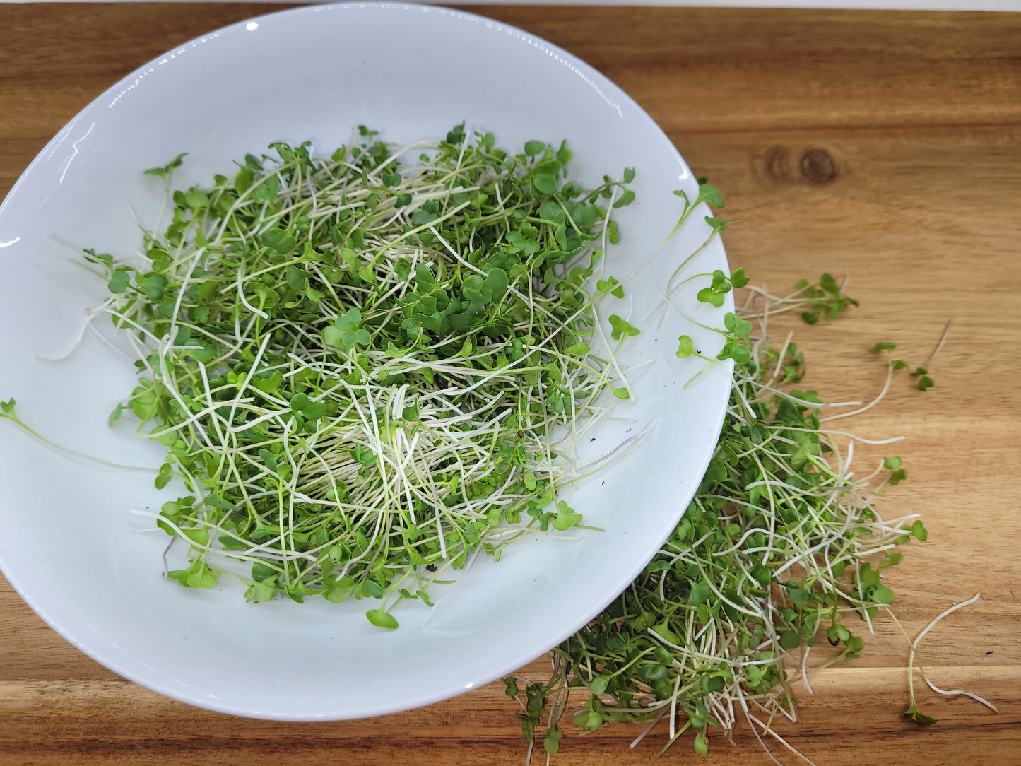 Kale Microgreens