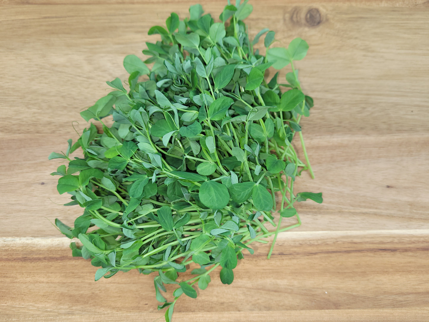 Pea Microgreens