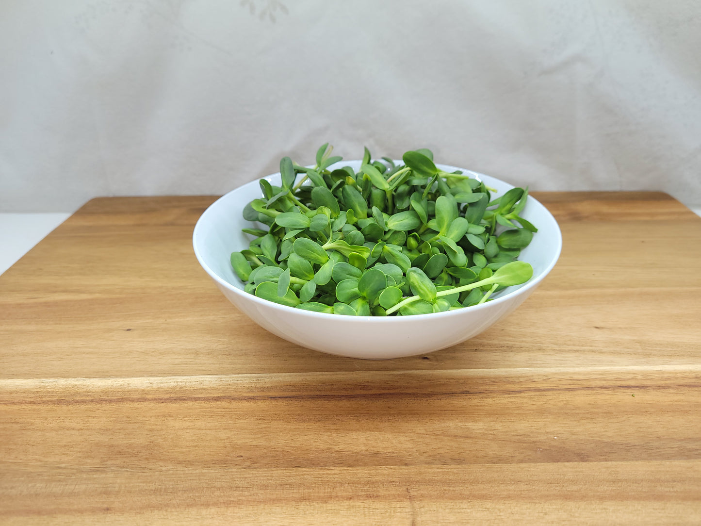 Sunflower Microgreens