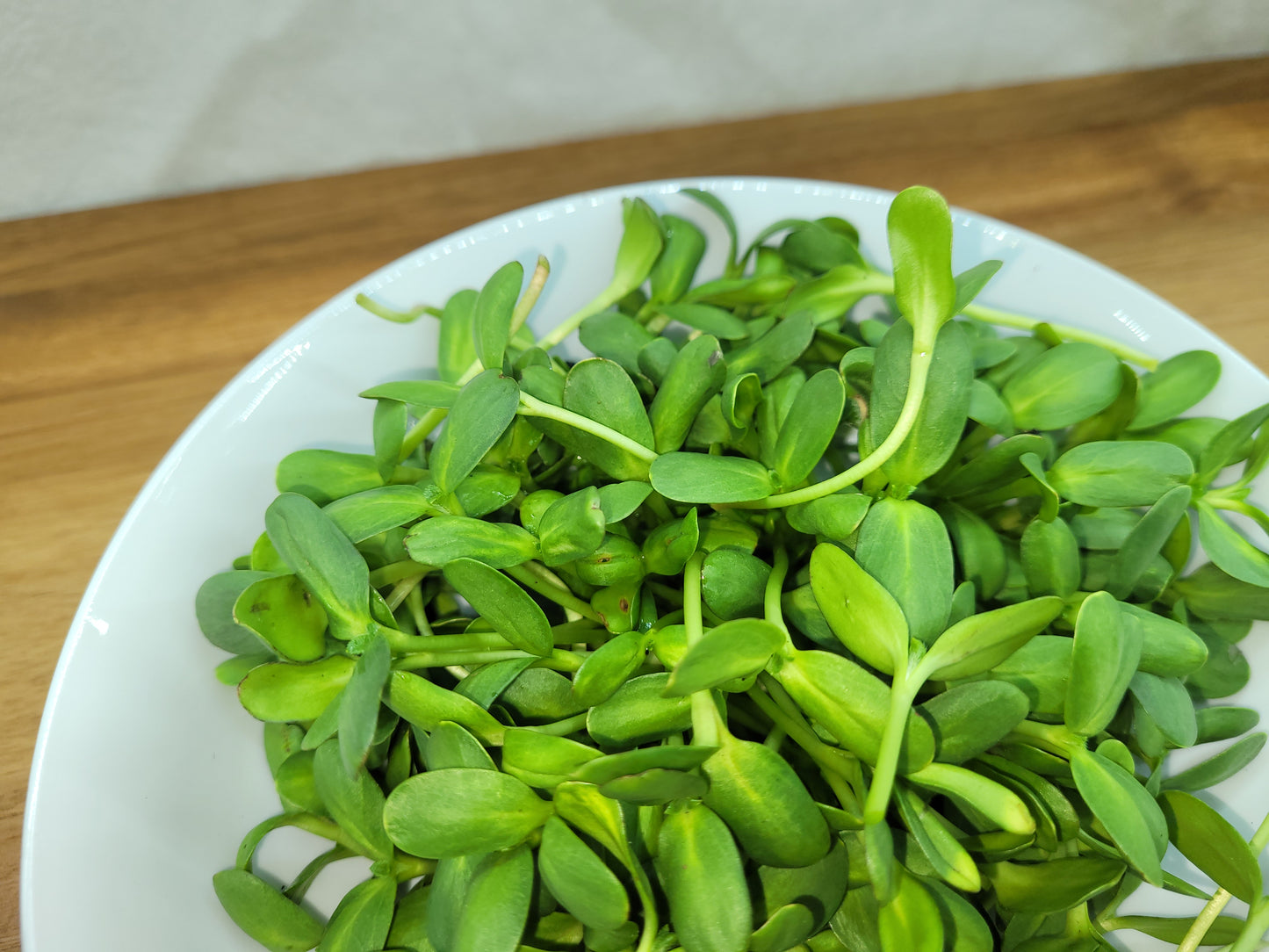 Sunflower Microgreens