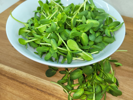 Sunflower Microgreens