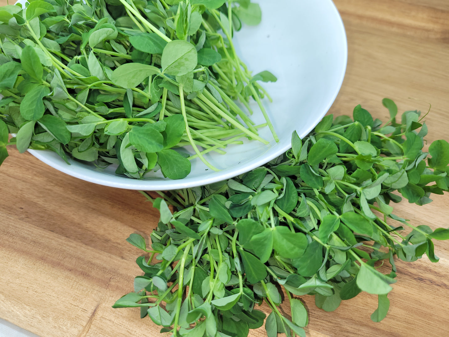 Pea Microgreens