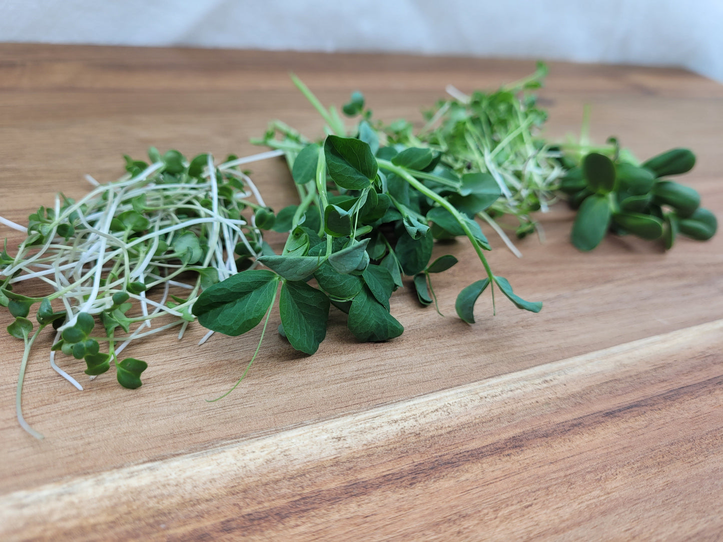 Microgreen Salad Mix - Small