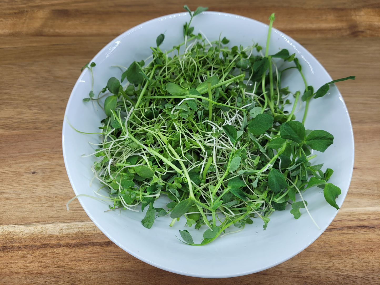 Microgreen Salad Mix - Large