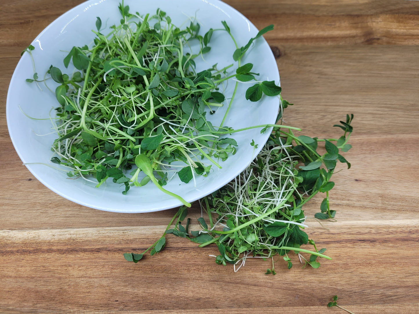 Microgreen Salad Mix - Small